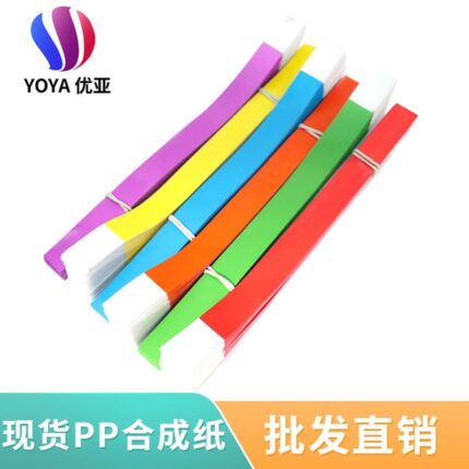Security Wristband (100pcs)