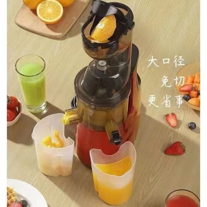 Slow Juicer - Image 2