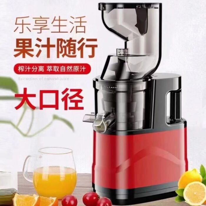 Slow Juicer - Image 1