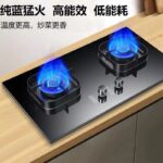 2 in 1 Luxury Gas Stove