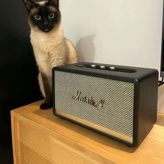 Marshal Speaker - Image 1